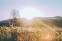 对于刚上大学的学生