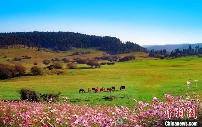 2024国际山地户外运动大赛将在重庆武隆举